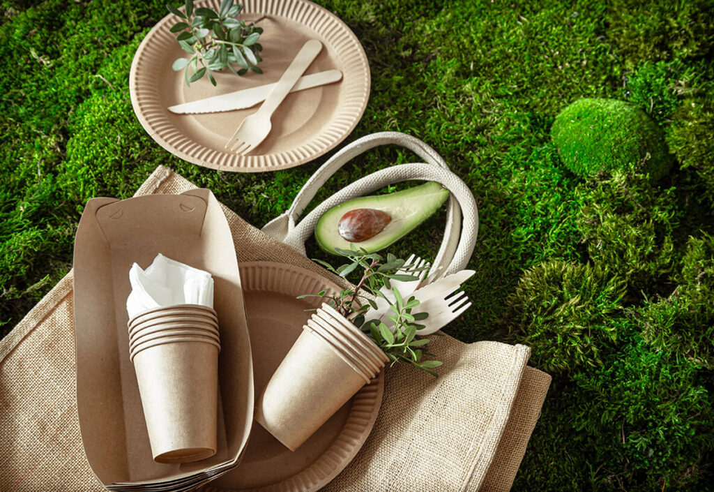 The Green Revolution Recyclable Food Packaging in Singapore