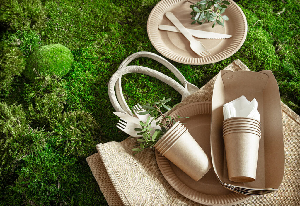 Sustainable Packaging in Singapore for a Greener Tomorrow