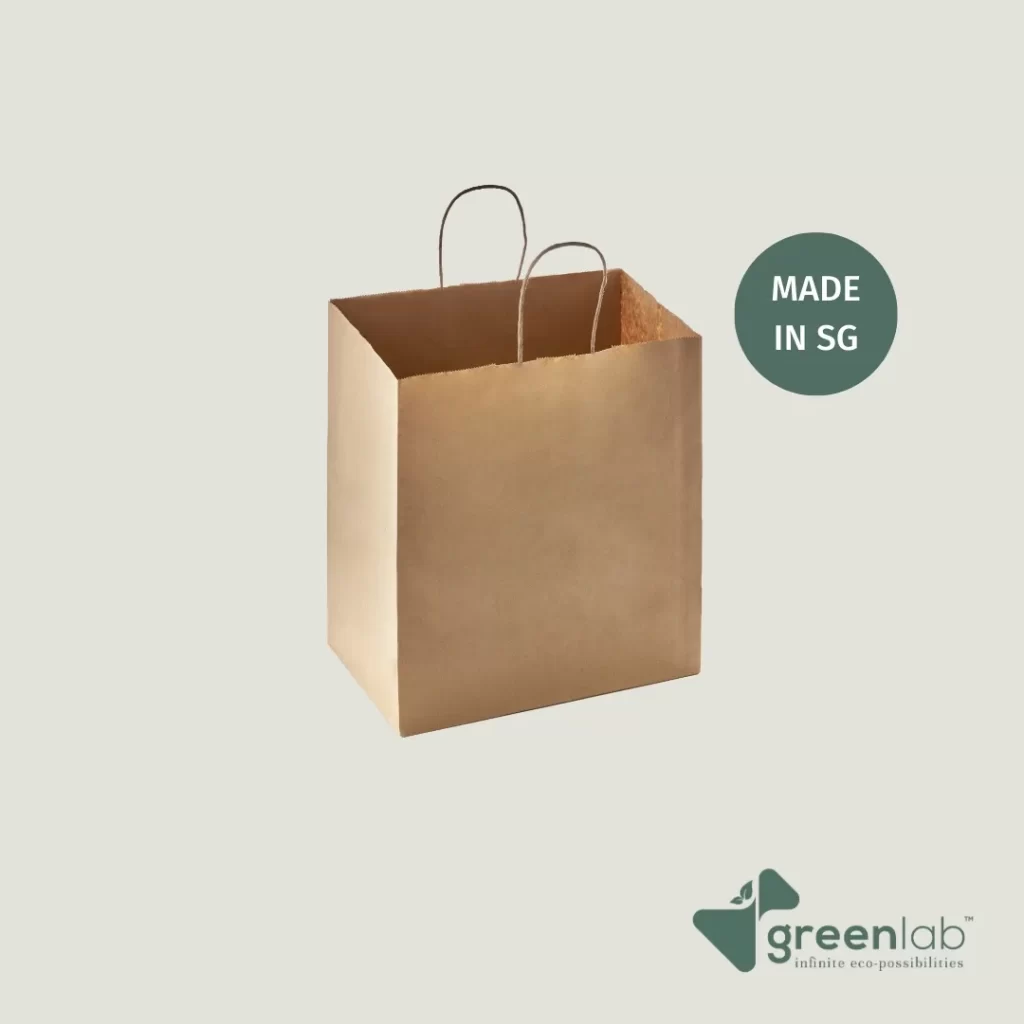 Twisted Handle Kraft Bag