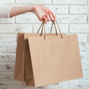 Kraft paper Bag
