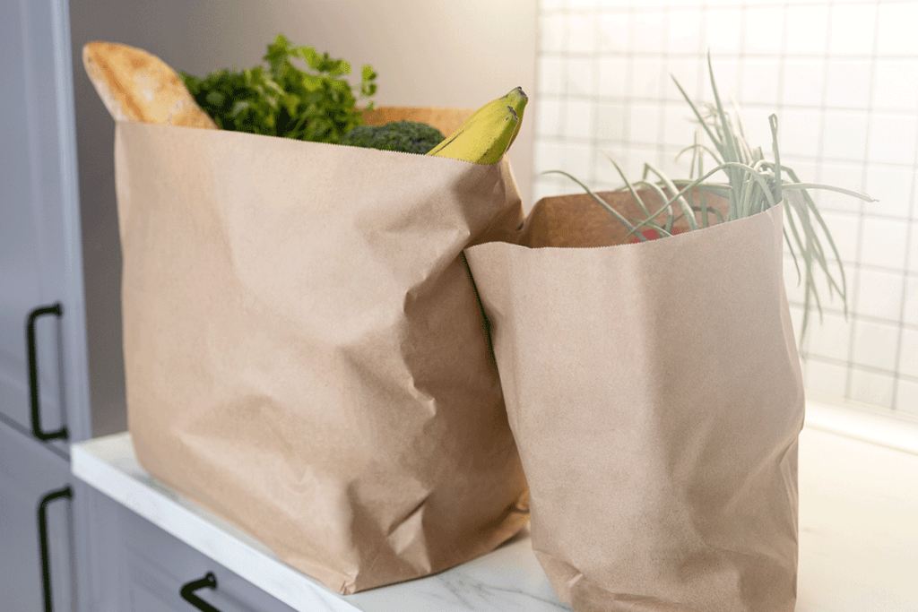 Biodegradable Food Packaging Bags