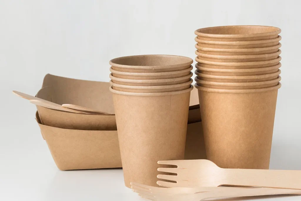 Disposable Takeaway Food Containers