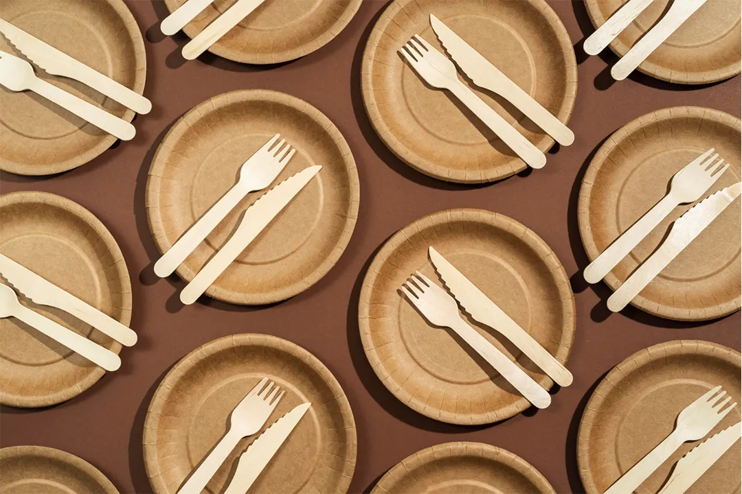 Disposable Plates wholesale Supplier