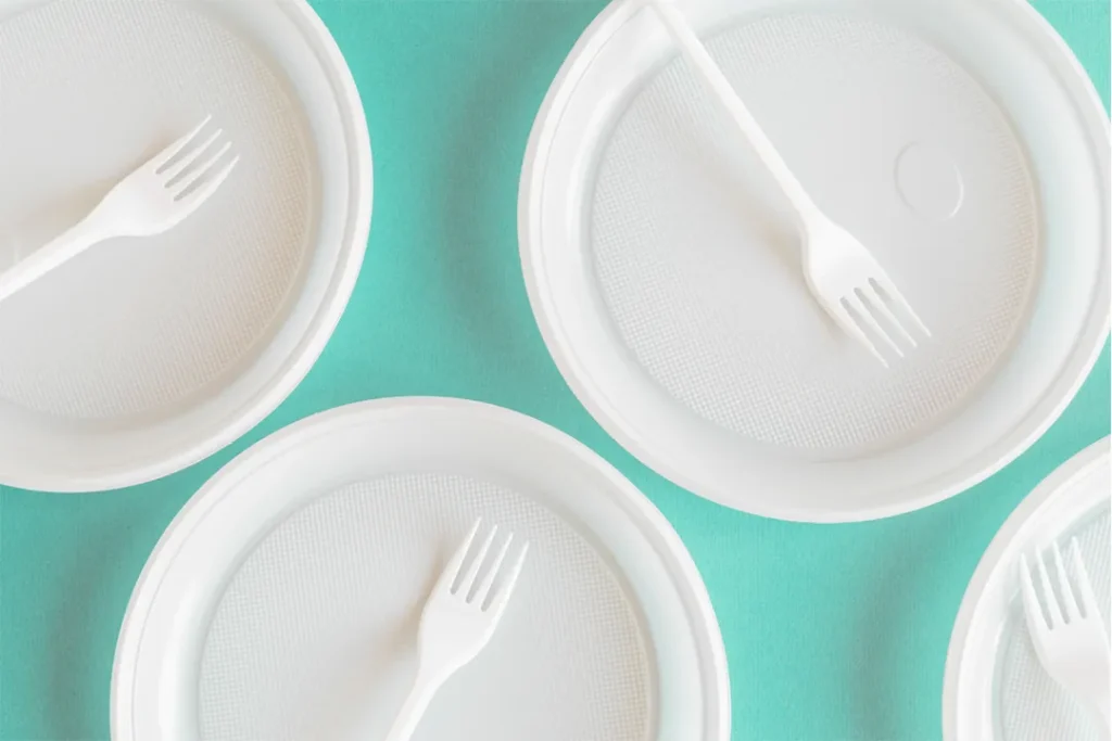 disposable plates wholesale