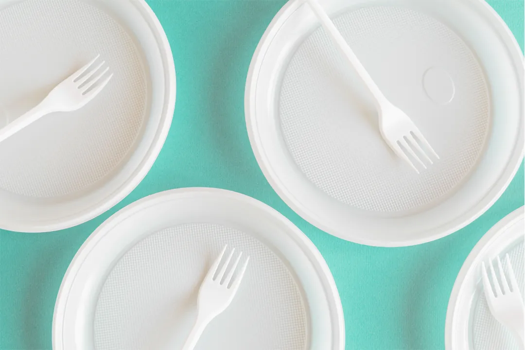 disposable plates wholesale