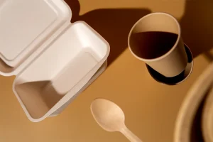food grade container supplier Singapore