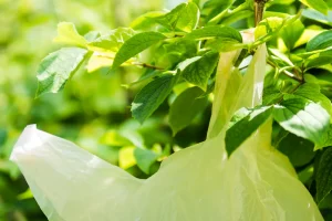 Biodegradable Garbage Bag Supplier Singapore