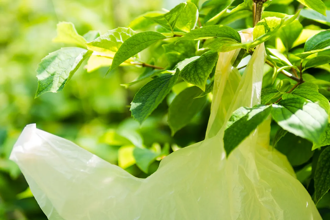 Biodegradable Garbage Bag Supplier Singapore